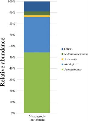 Isolation of Pseudomonas aromaticivorans sp. nov from a hydrocarbon-contaminated groundwater capable of degrading benzene-, toluene-, m- and p-xylene under microaerobic conditions